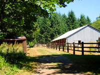 Corral