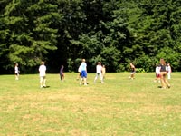 Playing Field
